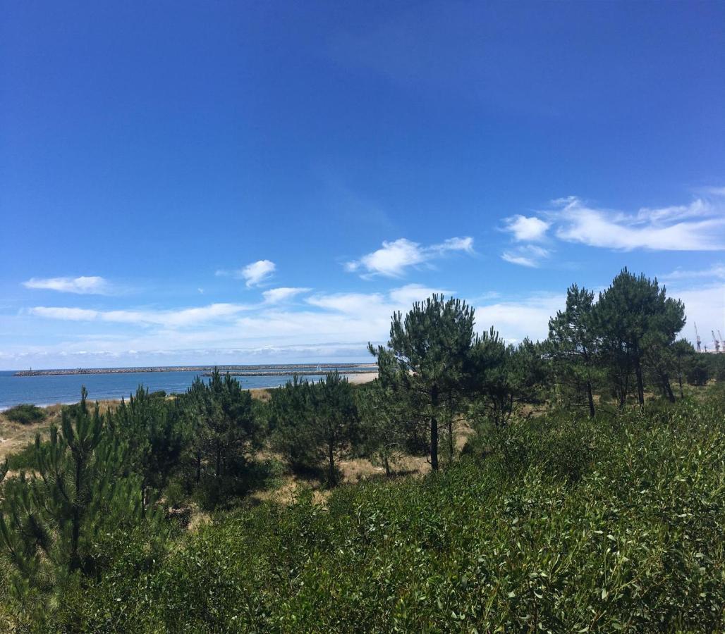 Cabedelo Beach Apartment 维亚纳堡 外观 照片